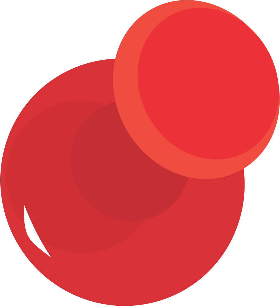 pin 