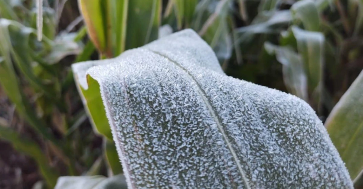 Massa de ar polar no Paraná faz com que 20 municípios registrem as mínimas mais baixas do ano