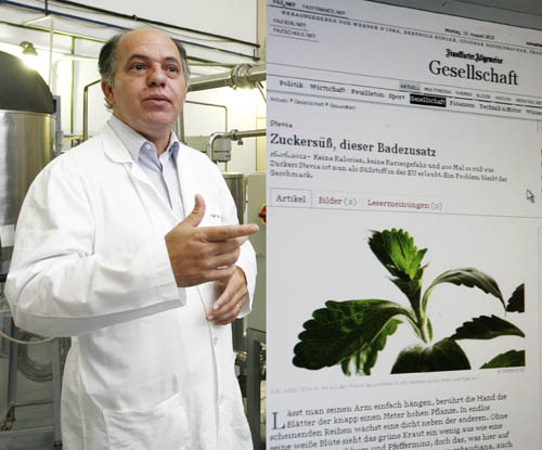 Jornal alemão entrevista professor da UEM sobre stevia