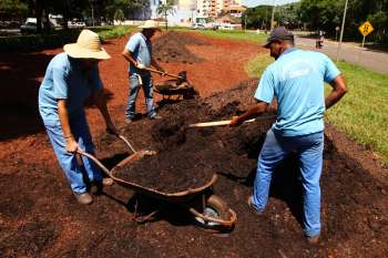 Trégua da chuva e solo úmido favorece preparação das praças e canteiros para plantio de flores