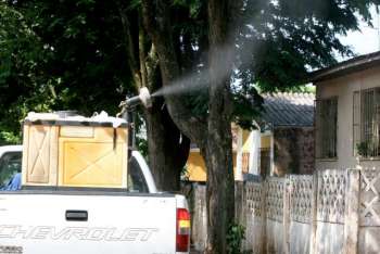Casos de notificações de dengue em Maringá aumentaram 24% em uma semana