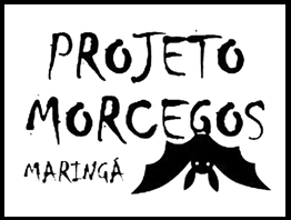 Saiba o que fazer se encontrar morcegos morando em sua casa. Saiba o que fazer se encontrar morcegos morando em sua casa.