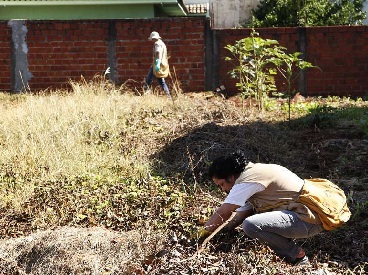 Terrenos de diferentes regiões de Maringá serão vistoriados pela Fiscalização Integrada.