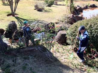 Voluntários farão mutirões de limpeza para inauguração do Parque do Japão.