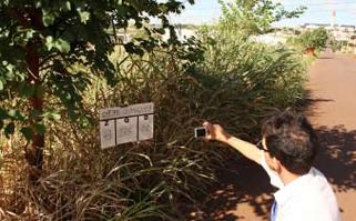 Imóveis e terrenos de sete bairros serão vistoriados nas próximas semanas