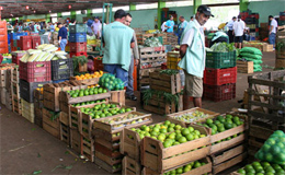 Ceasa de Maringá estará fechado neste sábado (15), feriado municipal