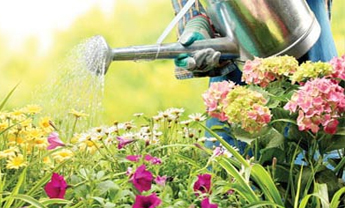 Paisagismo bonito com o consumo inteligente da água garantirá o abastecimento do futuro Paisagismo bonito com o consumo inteligente da água garantirá o abastecimento do futuro