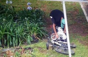 Após registros de furtos, Guarda Municipal intensifica vigilância nos locais com decoração natalina