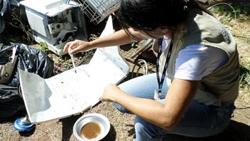 Vistorias para combate à dengue são feitas em imóveis em 10 bairros nesta semana