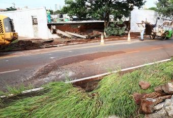 Tempestade derruba muros e árvores em Maringá