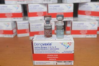 Vacinação contra a dengue pode evitar epidemia no próximo verão