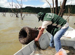 Proibição de pesca a espécies nativas começa terça-feira (1) no Paraná