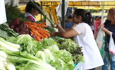 Feira de orgânicos é realidade em Maringá