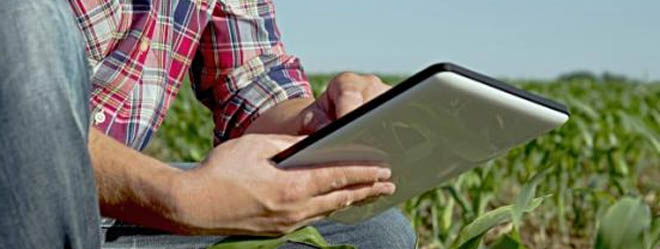 Produtor rural está conectado à tecnologia da informação 