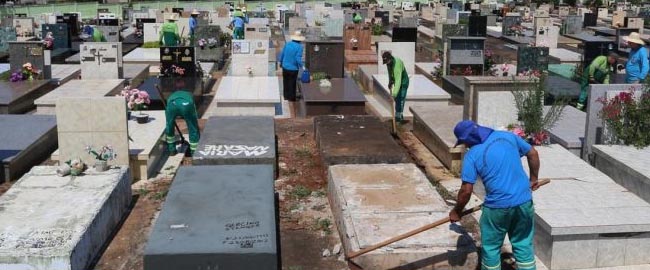 Prefeitura estabelece prazos para limpeza de túmulos Prefeitura estabelece prazos para limpeza de túmulos