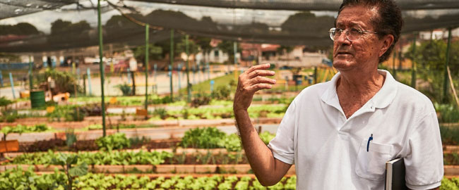 Projeto 'Nossa Horta' será iniciado em Maringá 