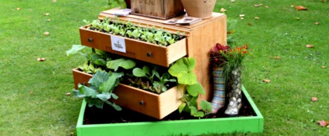Saiba como produzir um Jardim Sustentável