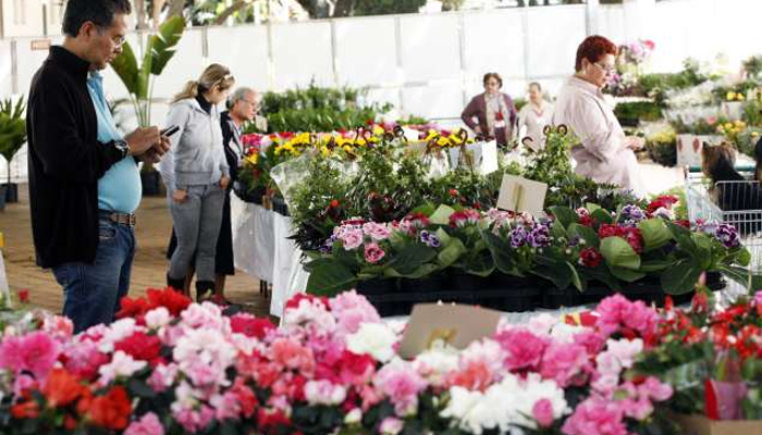 Expoflor começa na próxima semana com mais de 300 espécies