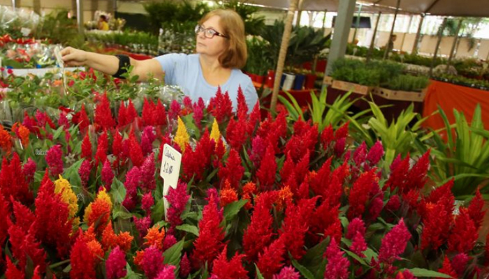 Feira prossegue até dia 20 com reposição de flores a cada dois dias