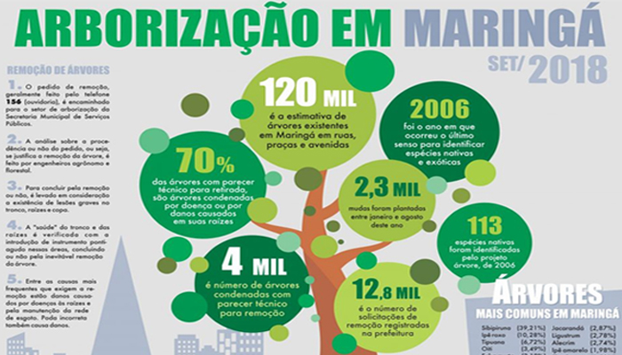 Maringá conta com 120 mil árvores; data simbólica é celebrada nesta sexta-feira (21)
