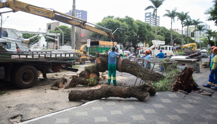 Vendaval de sábado provocou a queda de mais de 150 árvores