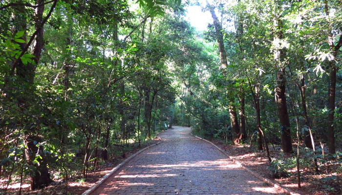 Meio Ambiente abre inscrições para trilhas no Parque do Ingá