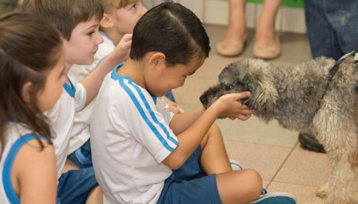 Projeto ′Amigo dos Animais′ ensina crianças a valorizar animais e meio ambiente Projeto ′Amigo dos Animais′ ensina crianças a valorizar animais e meio ambiente