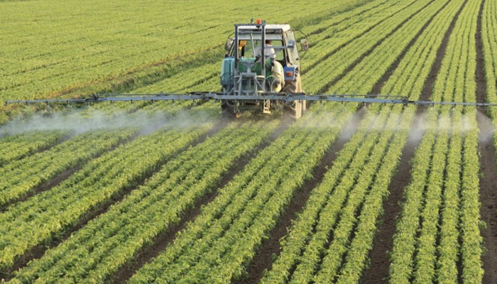Paraná poderá ser maior o produtor de alimentos do mundo
