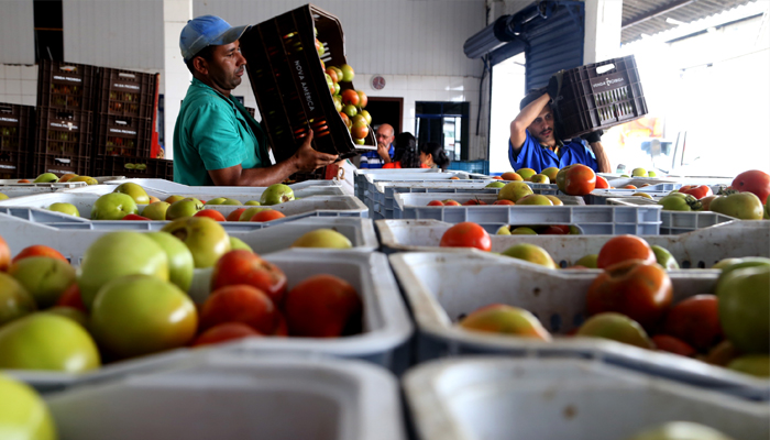 Paraná inicia programa para reduzir desperdício de alimentos