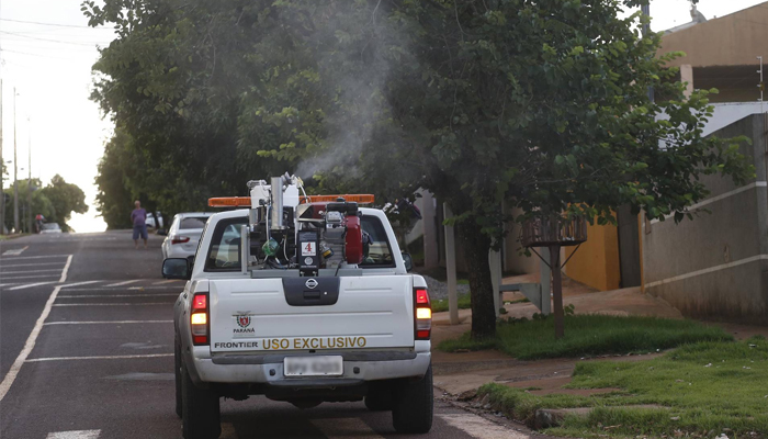 Aumentam os casos de dengue no Paraná