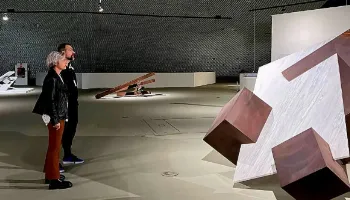 Com curadoria da maringaense Roberta Stubs, obras de Túlio Pinto chamam atenção no MON 