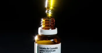 Mulheres são as principais consumidoras de cannabis medicinal no país 
