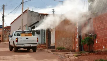 Eficácia da ivermectina contra a dengue não é comprovada, afirma Ministério da Saúde 