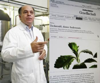 Jornal alemão entrevista professor da UEM sobre stevia Jornal alemão entrevista professor da UEM sobre stevia