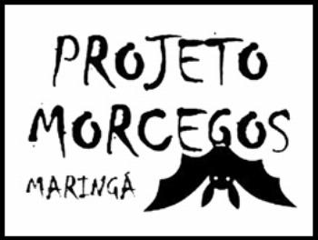 Saiba o que fazer se encontrar morcegos morando em sua casa. 