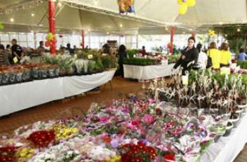 Organizadores da Expoflor esperam receber 30 mil pessoas durante o evento. 