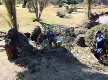 Voluntários fazem primeiro mutirão do ano para limpeza do Parque do Japão. 