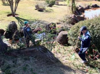 Voluntários farão mutirões de limpeza para inauguração do Parque do Japão. 