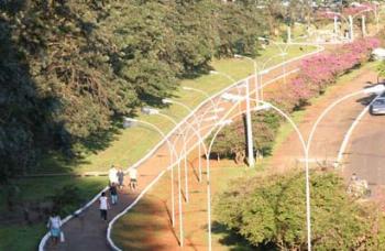 Recuperação do Bosque das Grevíleas começa nesta sexta-feira (11). 