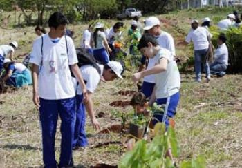 Dia da Primavera é comemorado com plantio de mais 2 mil mudas. 