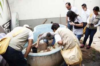 Mutirão contra dengue resulta em mais de R$ 190 mil em multas 