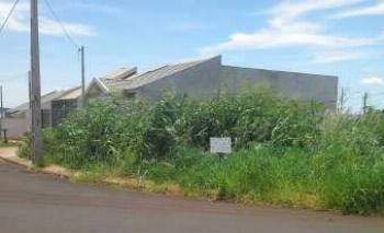 Vistorias nos passeios públicos são intensificadas nesta semana Vistorias nos passeios públicos são intensificadas nesta semana