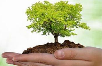 Semana do Meio Ambiente começa nesta segunda (1) e será marcada com diversas ações 