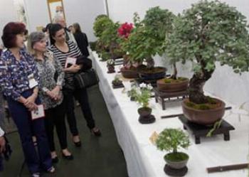 Pavilhão Cultural é um pedacinho do Japão em Maringá 