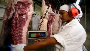 Paraná é o Estado que mais produz carnes do país Paraná é o Estado que mais produz carnes do país