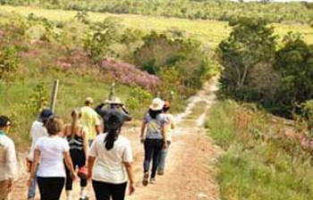 Unicesumar promove caminhada ecológica neste domingo (22) 