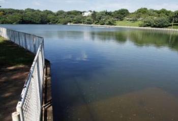 Soltura de 10 mil peixes abre Semana do Rio na segunda-feira (23) 