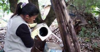 Mutirão “Vida Sem Dengue” será realizado neste sábado (12) 