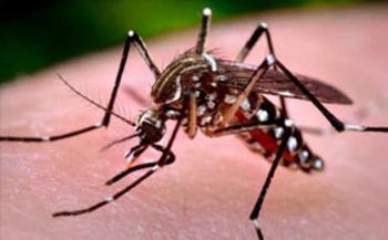 Caso de microcefalia relacionado ao zika vírus no Paraná é descartado 