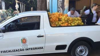 Operação resulta na apreensão de frutas comercializadas de forma irregular em Maringá Operação resulta na apreensão de frutas comercializadas de forma irregular em Maringá